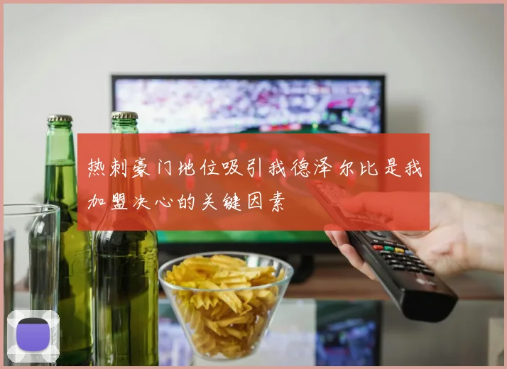 热刺豪门地位吸引我德泽尔比是我加盟决心的关键因素