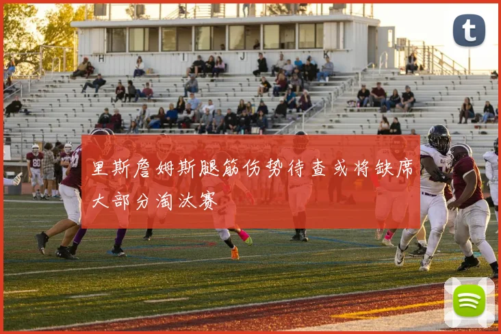 里斯詹姆斯腿筋伤势待查或将缺席大部分淘汰赛
