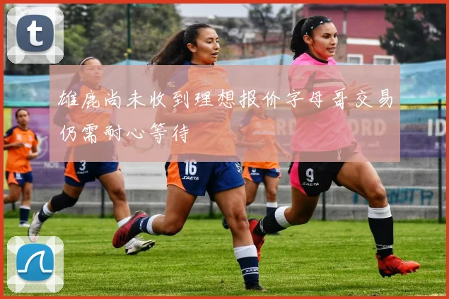 雄鹿尚未收到理想报价字母哥交易仍需耐心等待